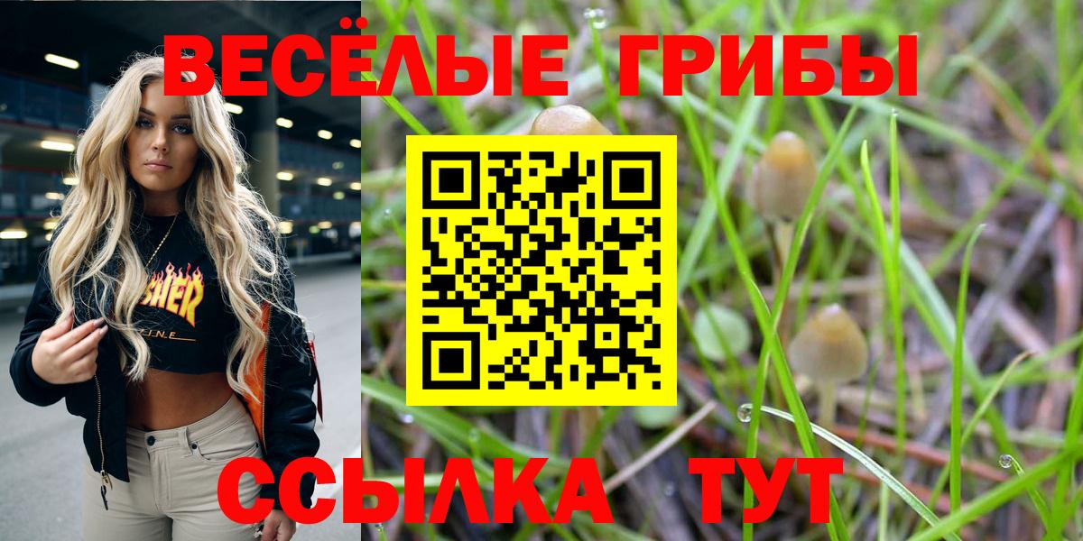 Псилоцибиновые грибы Magic Shrooms Егорьевск