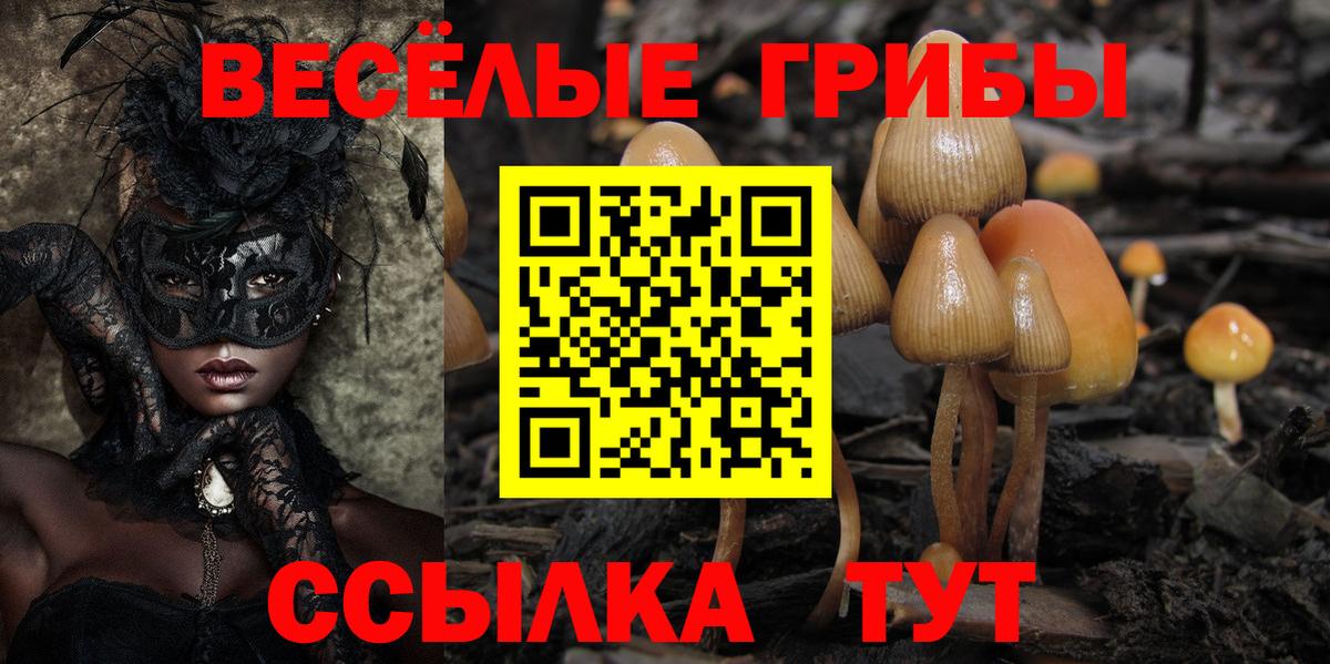 Егорьевск  Галлюциногенные грибы Magic Shrooms  Вход с VPN 